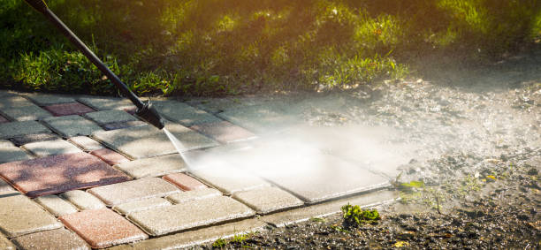 Animal Enclosure Cleaning in Tipton, CA